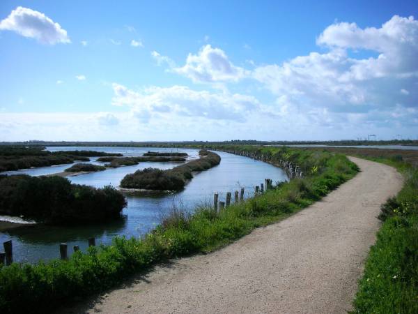 Parque Natural de los Toruños de El, Puerto de Santa María