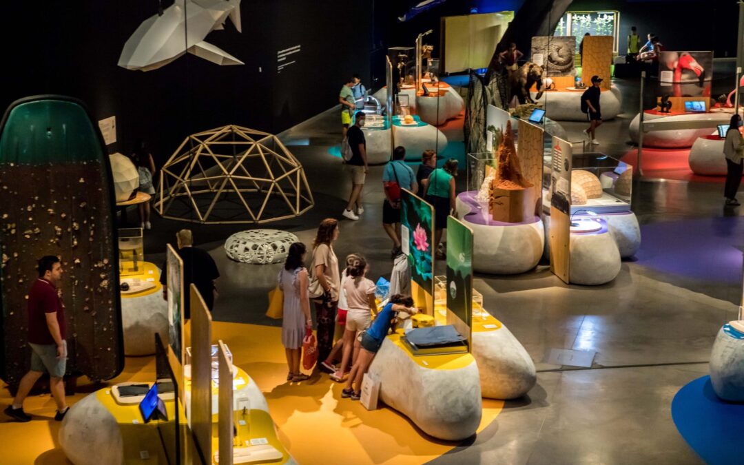 Visita al Parque de las Ciencias de Granada