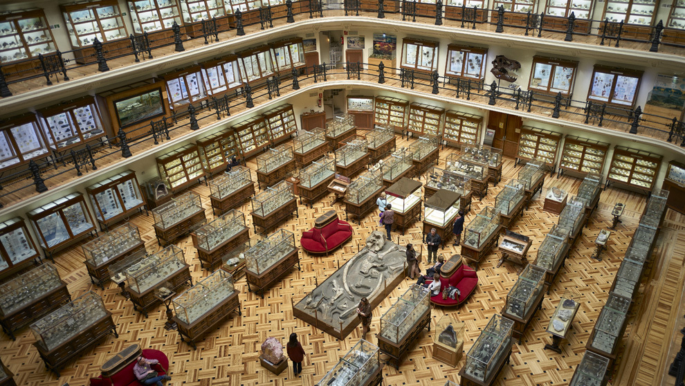 El alumnado de 3º de ESO del IES Santo Domingo visita Madrid y Toledo